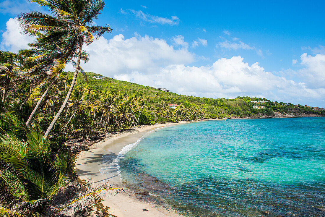 Sandy beach on Industry Bay, Bequia, The Grenadines, St. Vincent and the Grenadines, Windward Islands, West Indies, Caribbean, Central America