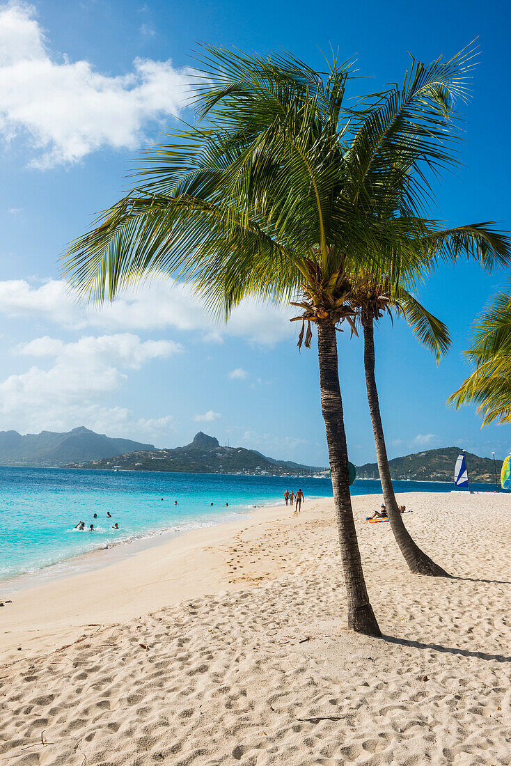 Palm Island, The Grenadines, St. Vincent and the Grenadines, Windward Islands, West Indies, Caribbean, Central America