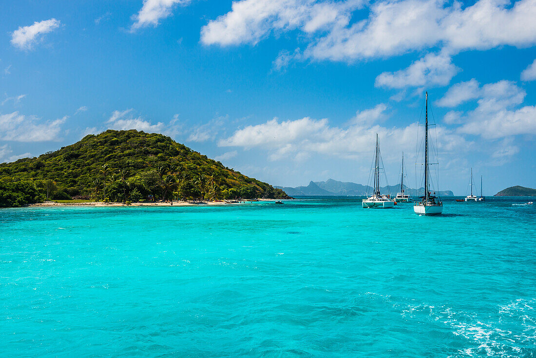 Sailing boats anchoring in the Tobago Cays, The Grenadines, St. Vincent and the Grenadines, Windward Islands, West Indies, Caribbean, Central America
