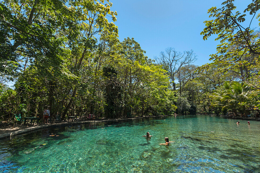 Clear spring waters of La Presa Ojo de Aqua pool near Santa Domingo on the east coast, Omotepe Island, Lake Nicaragua, Nicaragua, Central America