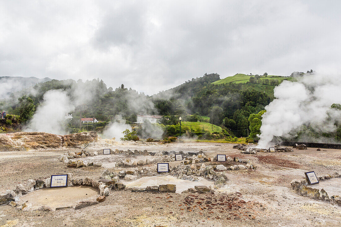 Furnas Valley, a site of bubbling hot springs and fumaroles on the Azorean capital island of Sao Miguel, Azores, Portugal, Europe