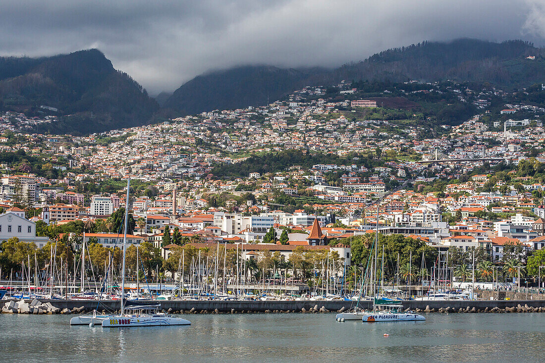 Waterfront view in the heart of the capital city of Funchal, Madeira, Portugal, Atlantic, Europe