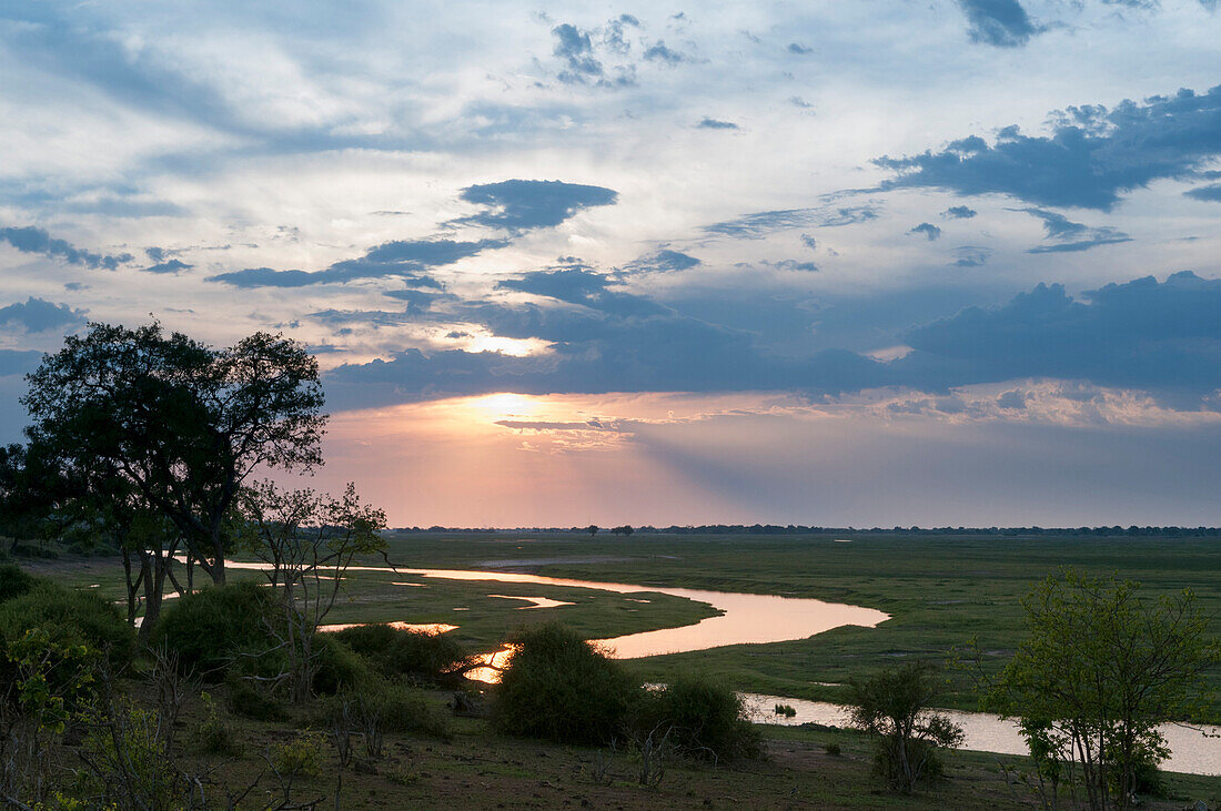 Chobe National Park, Botswana, Africa