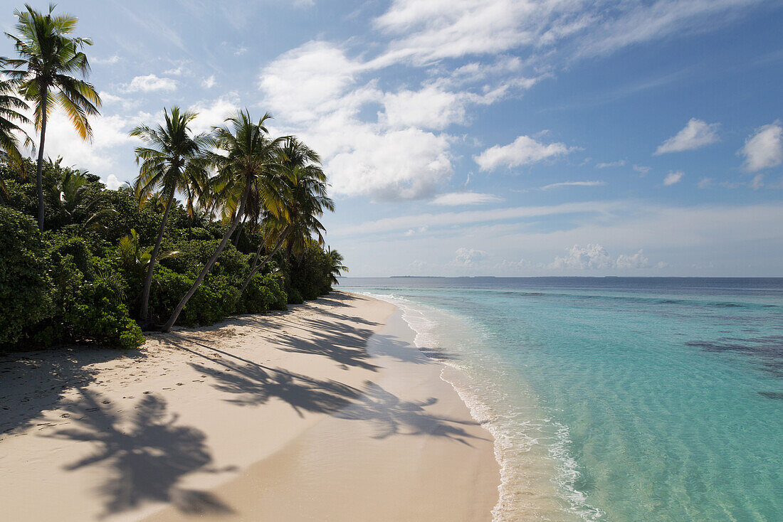 A deserted beach and tropical vegetation on an island in the Northern Huvadhu Atoll, Maldives, Indian Ocean, Asia