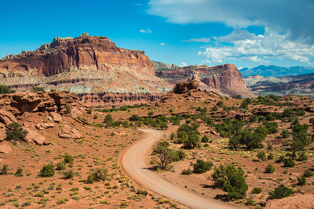 Road leading through the Capitol Reef National Park, Utah, United States of America, North America