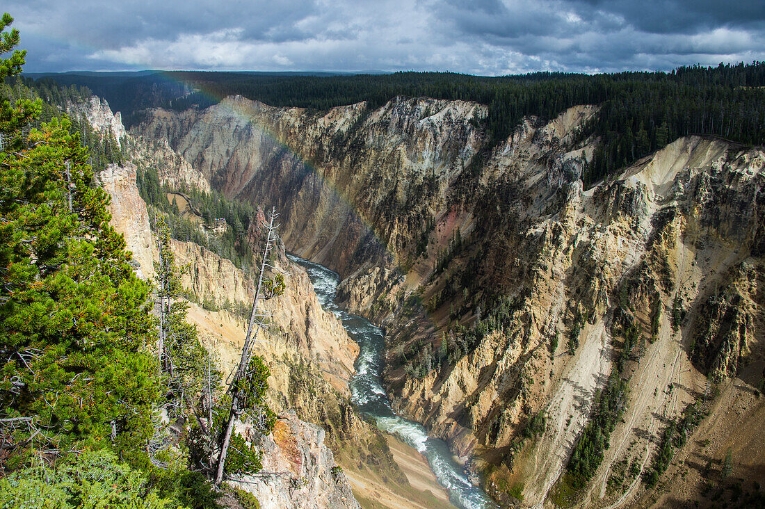 The colourful Grand Canyon of the Yellowstone, Yellowstone National Park, UNESCO World Heritage Site, Wyoming, United States of America, North America