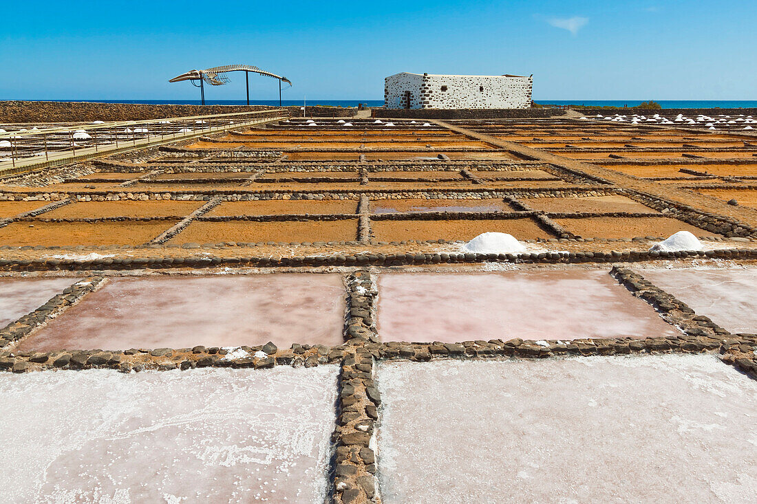 Salt pans still in use at El Carmen Salinas and Salt Museum on the east coast, Caleta de Fuste, Fuerteventura, Canary Islands, Spain, Europe