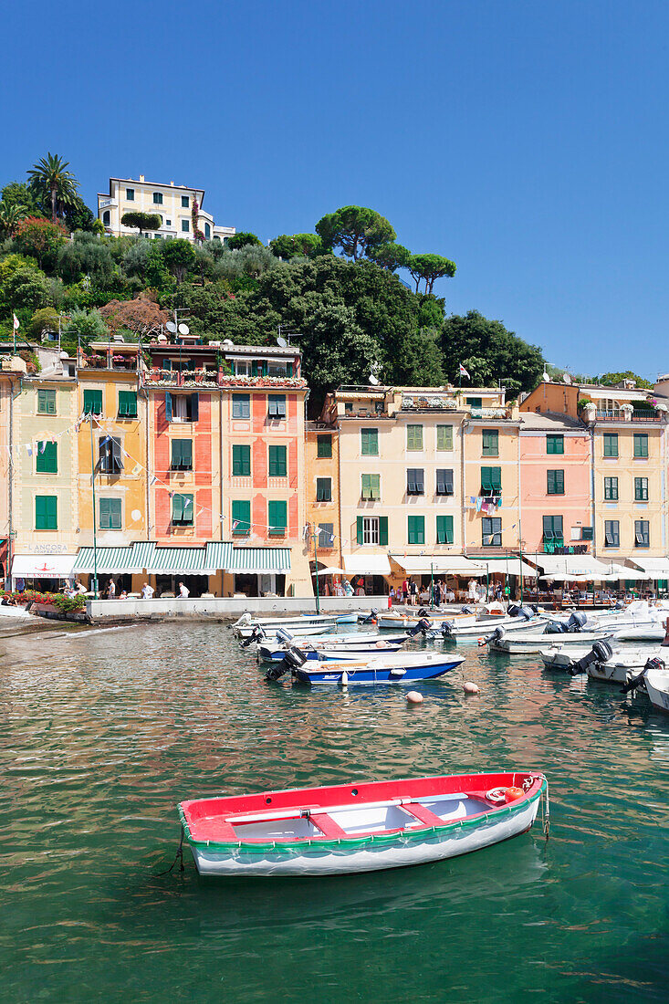 Harbour of Portofino, Riviera di Levante, Province of Genoa, Liguria, Italy, Europe