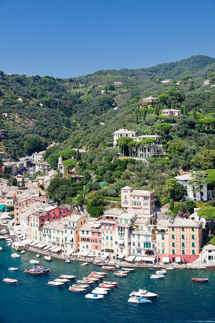 Portofino, Riviera di Levante, Province of Genoa, Liguria, Italy, Europe