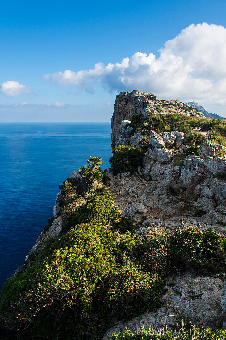 The rocky cliffs of Cap Formentor, Mallorca, Balearic Islands, Spain, Mediterranean, Europe