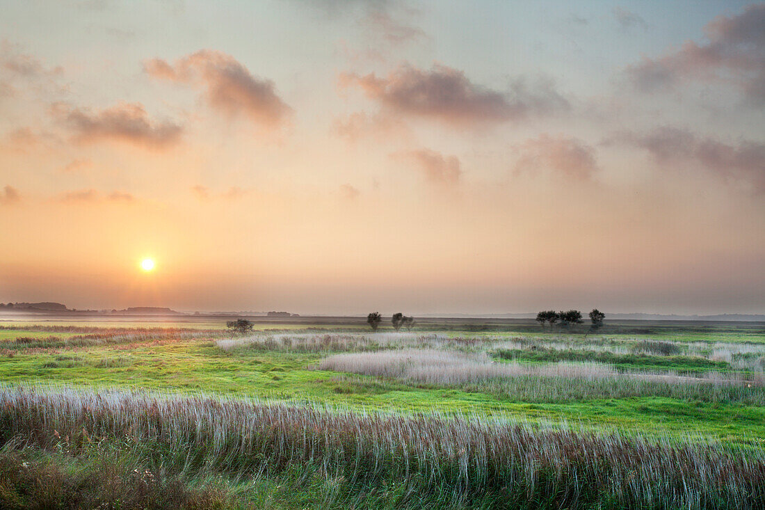 Sunset over the Marshes at Aldeburgh, Suffolk, England, United Kingdom, Europe