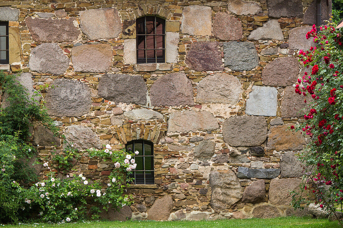 Stift Börstel, old stone wall, Lower Saxony, Germany