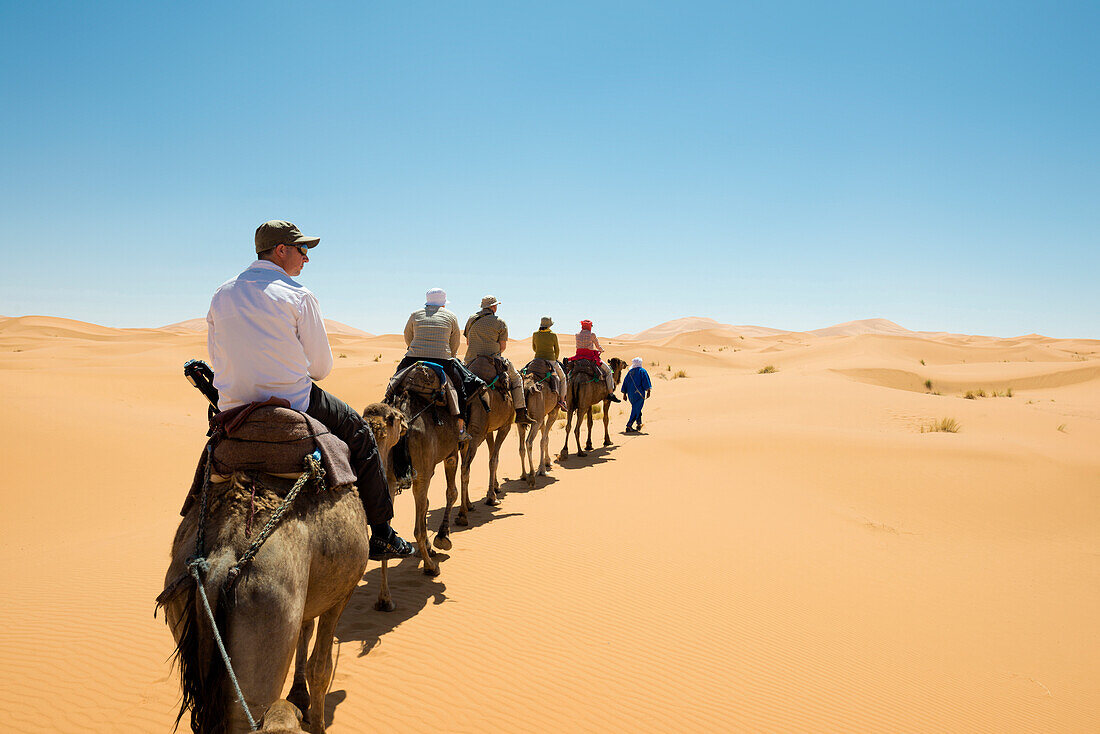 group of tourists riding dromedaries in the sand dunes, Erg Chebbi, Sahara Desert, Morocco, Africa