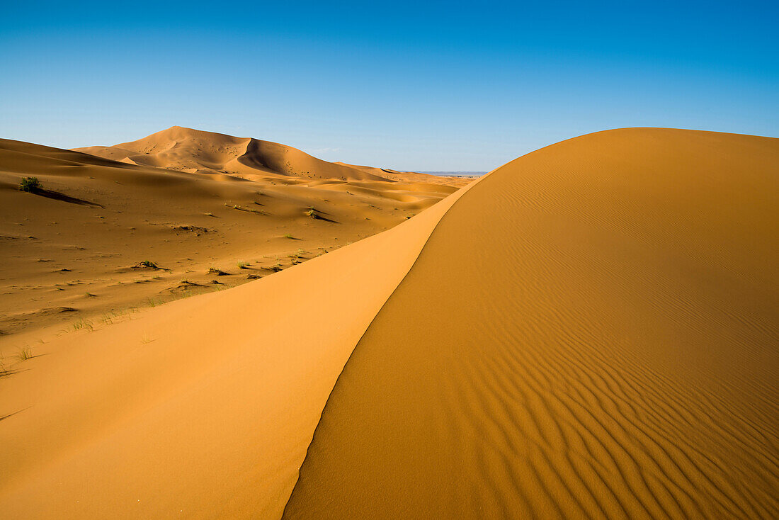 sand dunes, near Merzouga, Erg Chebbi, Sahara Desert, Morocco, Africa