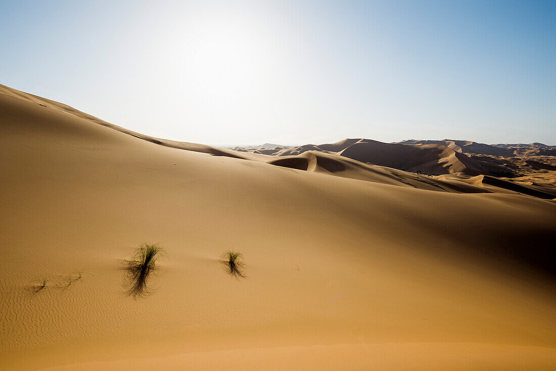 Sanddünen bei Merzouga, Erg Chebbi, Sahara, Marokko, Afrika