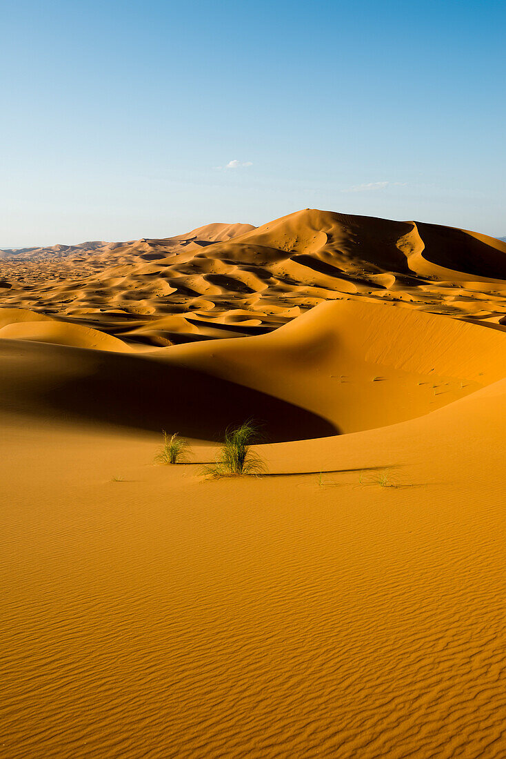 sand dunes, near Merzouga, Erg Chebbi, Sahara Desert, Morocco, Africa