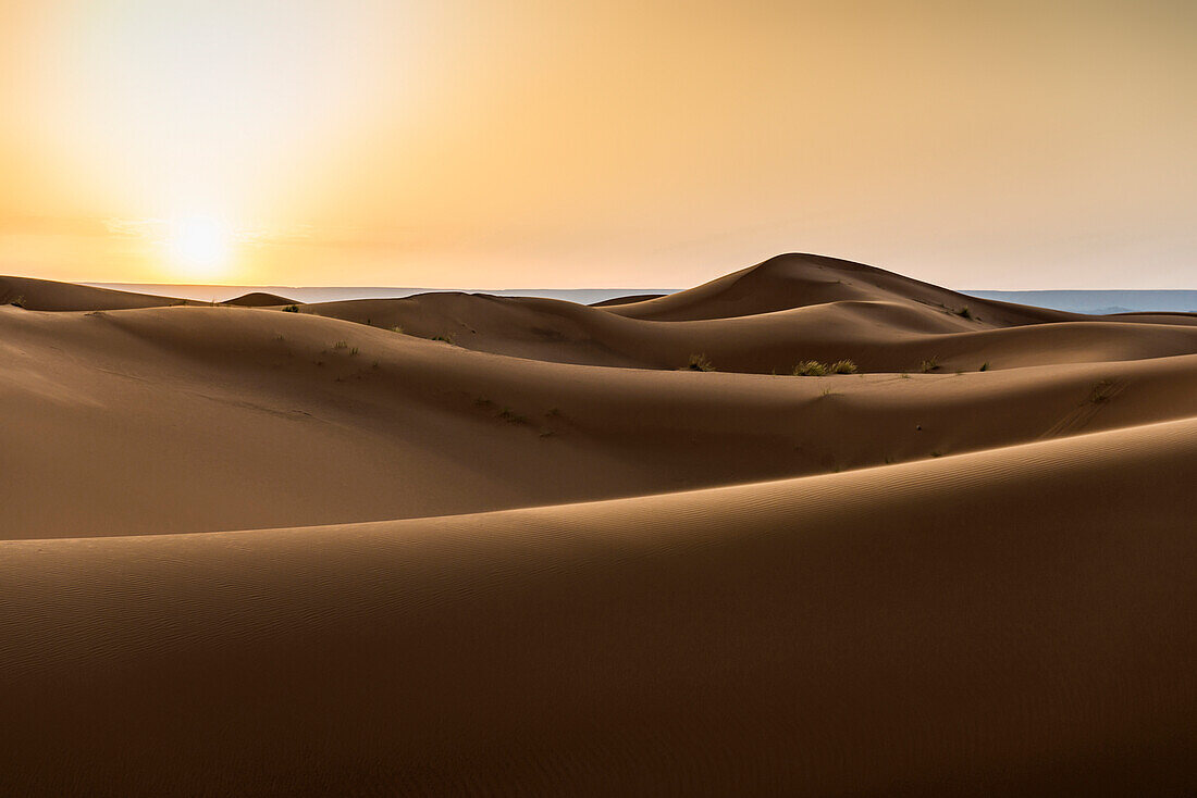 sand dunes, near Merzouga, Erg Chebbi, Sahara Desert, Morocco, Africa