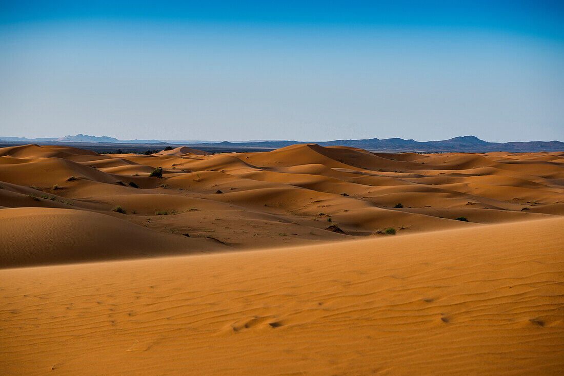 sand dunes, near Merzouga, Erg Chebbi, Sahara Desert, Morocco, Africa