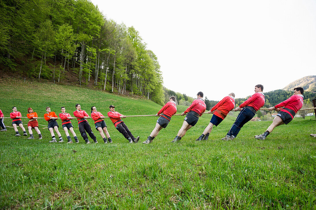 tug of war, Böllen, near Schönau, Black Forest, Baden-Württemberg, Germany