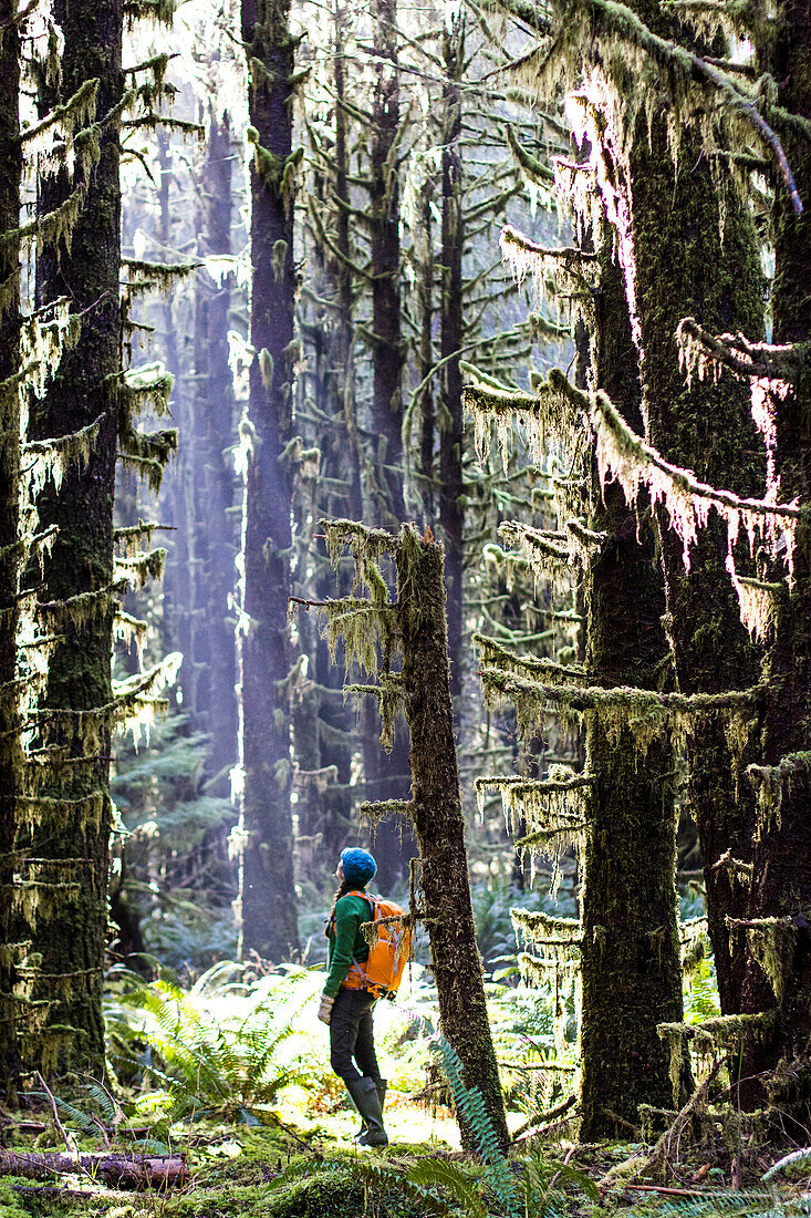 Woman takes a break from hiking to look up into the tall trees of the Hoh Rainforest, WA.