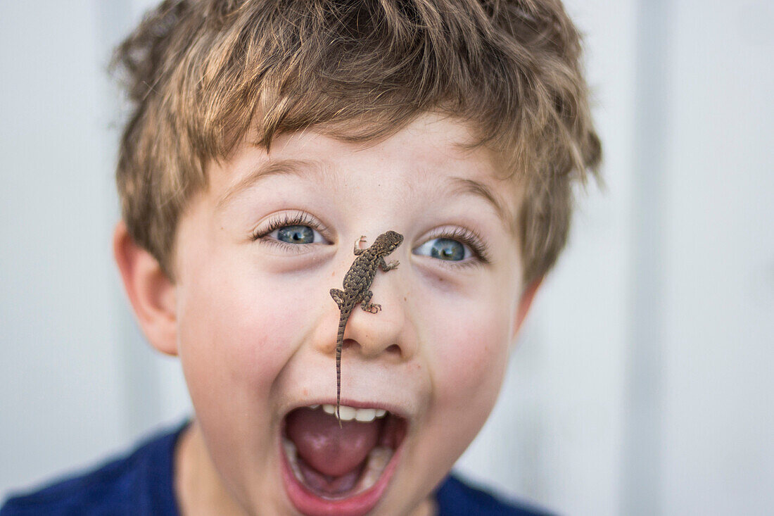 Astonished toddler boy with Sagebrush lizard on nose in Chico, California.