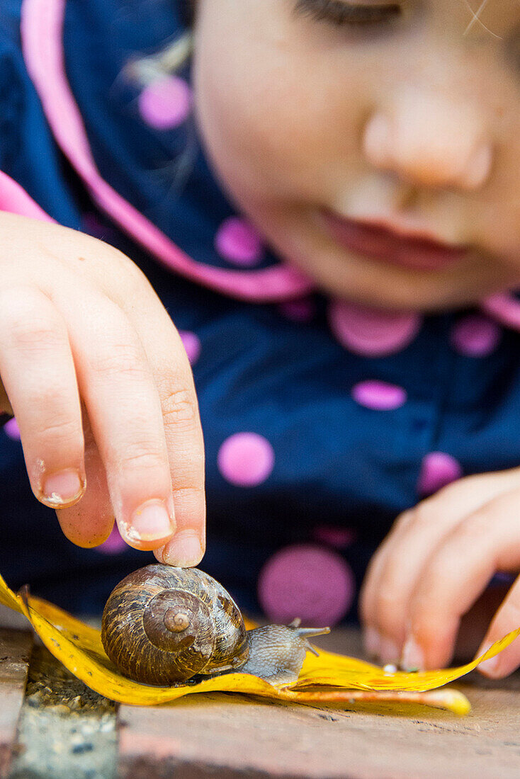 Close-up of toddler girl in rain jacket watching snail cross yellow leaf in Chico, California.