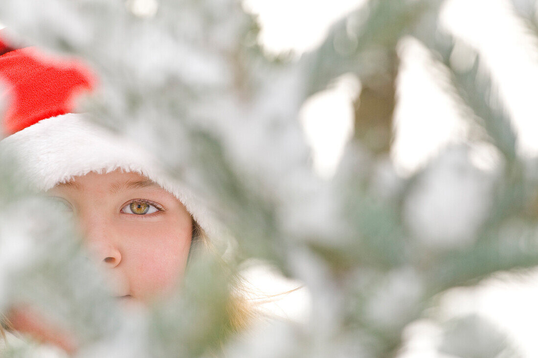 Young girl peering through snow covered Christmas Tree in winter, UK.