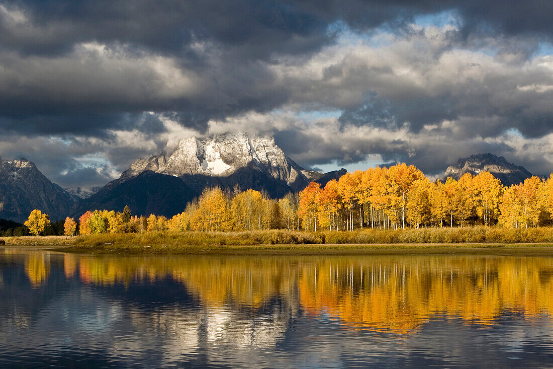 Aspens hang on to their last colors as winter's chill forms over Mt. Moran in Grand Teton National Park, Wyoming.