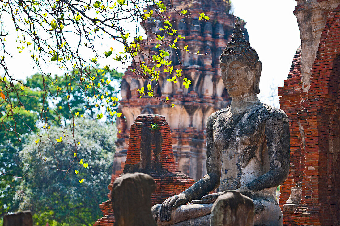 Buddah statue at the ancient temple of Wat Maha That in Ayutthaya