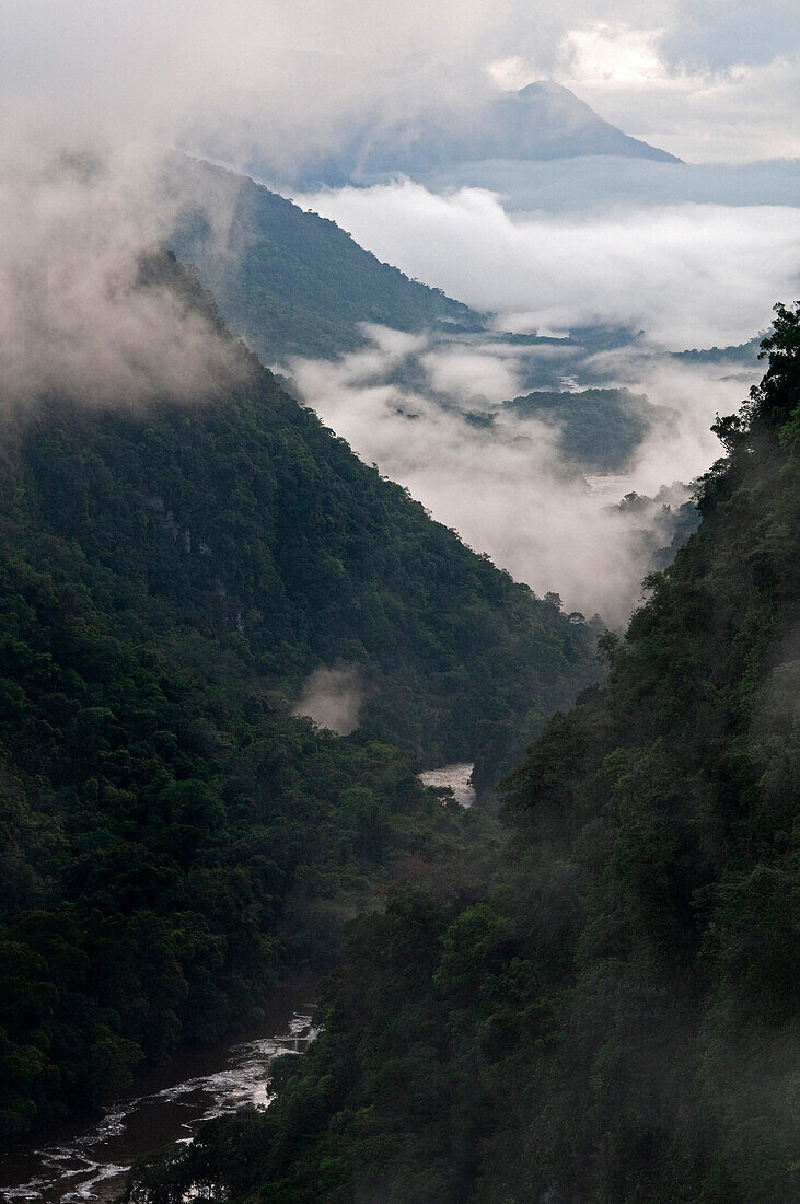 Low cloud in the Potaro River Gorge, Guyana, South America