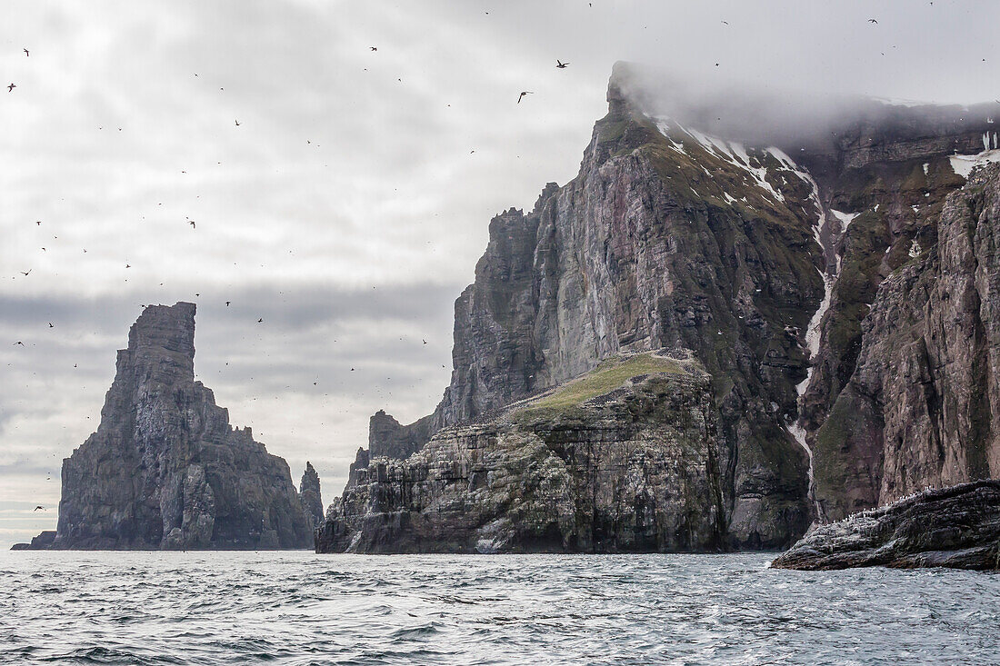 Steep cliffs filled with nesting birds on the south side of Bjornoya (Bear Island), Svalbard, Norway, Scandinavia, Europe
