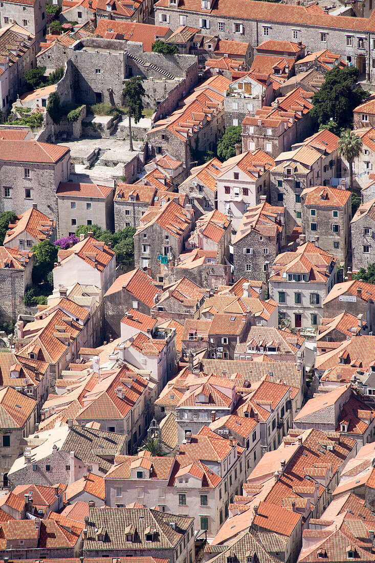 Elevated view of rooftops, Dubrovnik, Dalmatia, Croatia, Europe