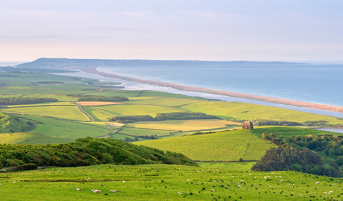 St. Catherine's Chapel and rolling countryside with views beyond to Chesil Beach and the Isle of Portland, Dorset, England, United Kingdom, Europe