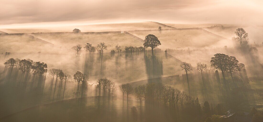 Early morning mist covered farmland in autumn, Lake District, Cumbria, England, United Kingdom, Europe