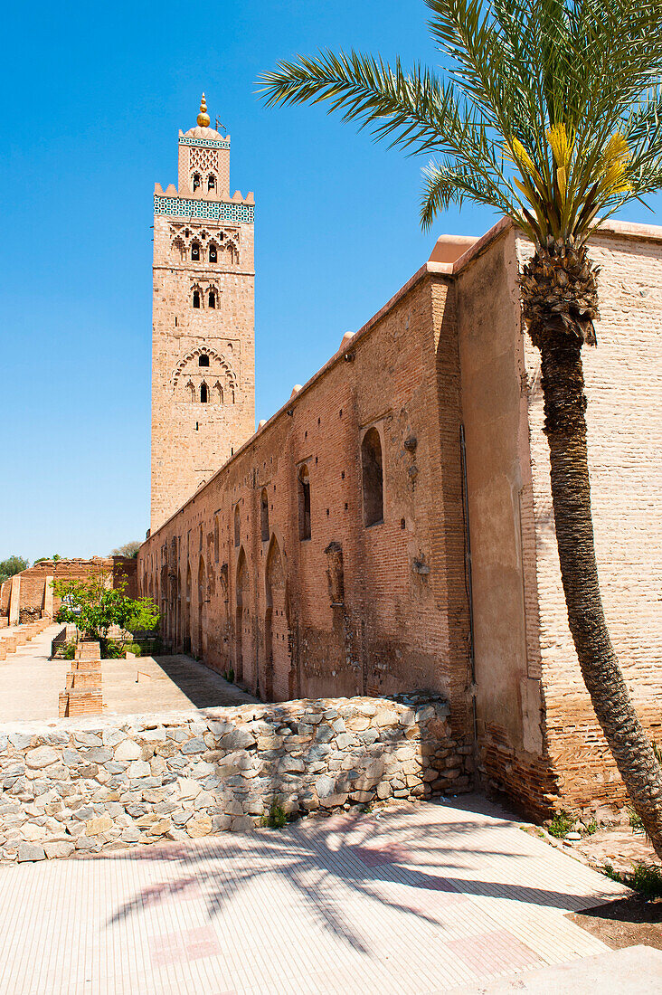 Katoubia Mosque and palm tree in Djemaa El Fna, the famous square in Marrakech, Morocco, North Africa, Africa