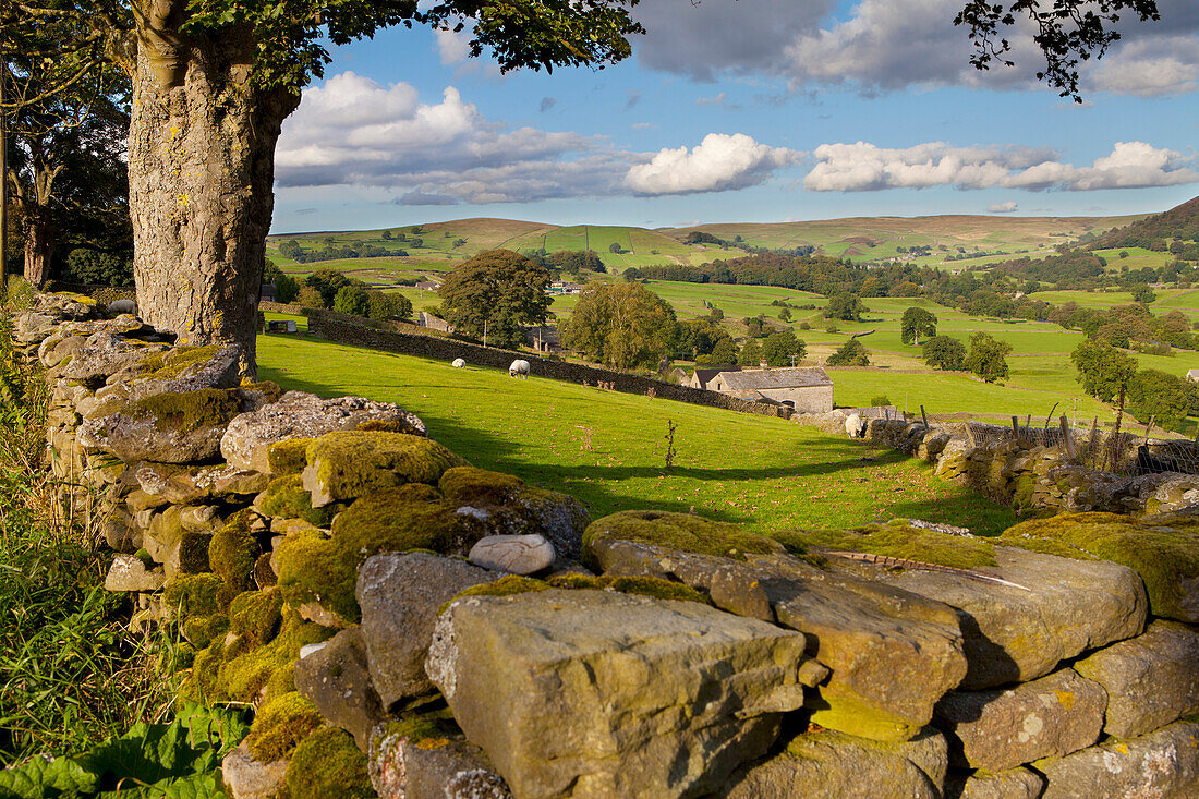 Farm near Burnsall, Yorkshire Dales National Park, Yorkshire, England, United Kingdom, Europe