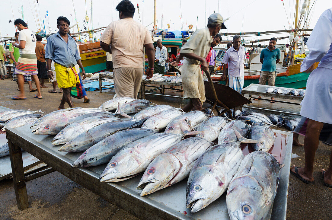 Mirisa, Southern Province, Sri Lanka, Asia