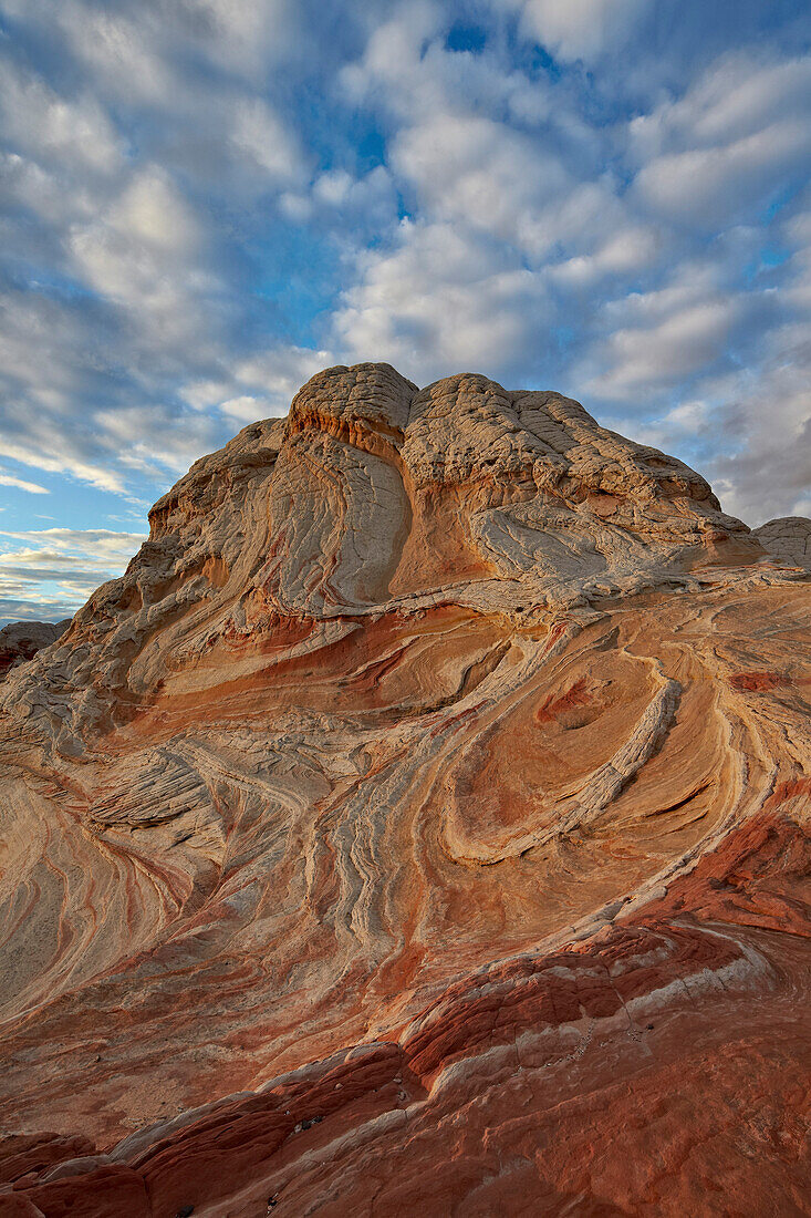 Sandstone hill with swirly layers, White Pocket, Vermillion Cliffs National Monument, Arizona, United States of America, North America