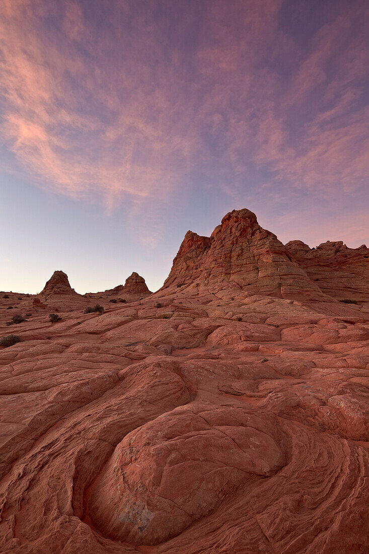 Swirl erosion pattern with pink clouds at dawn, Coyote Buttes Wilderness, Vermillion Cliffs National Monument, Arizona, United States of America, North America