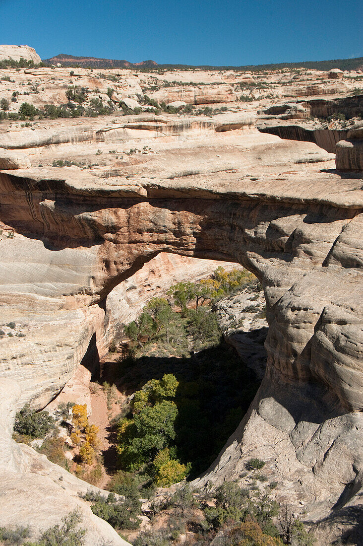 Natural Bridges National Monument, Sipapu Bridge, Utah, United States of America, North America