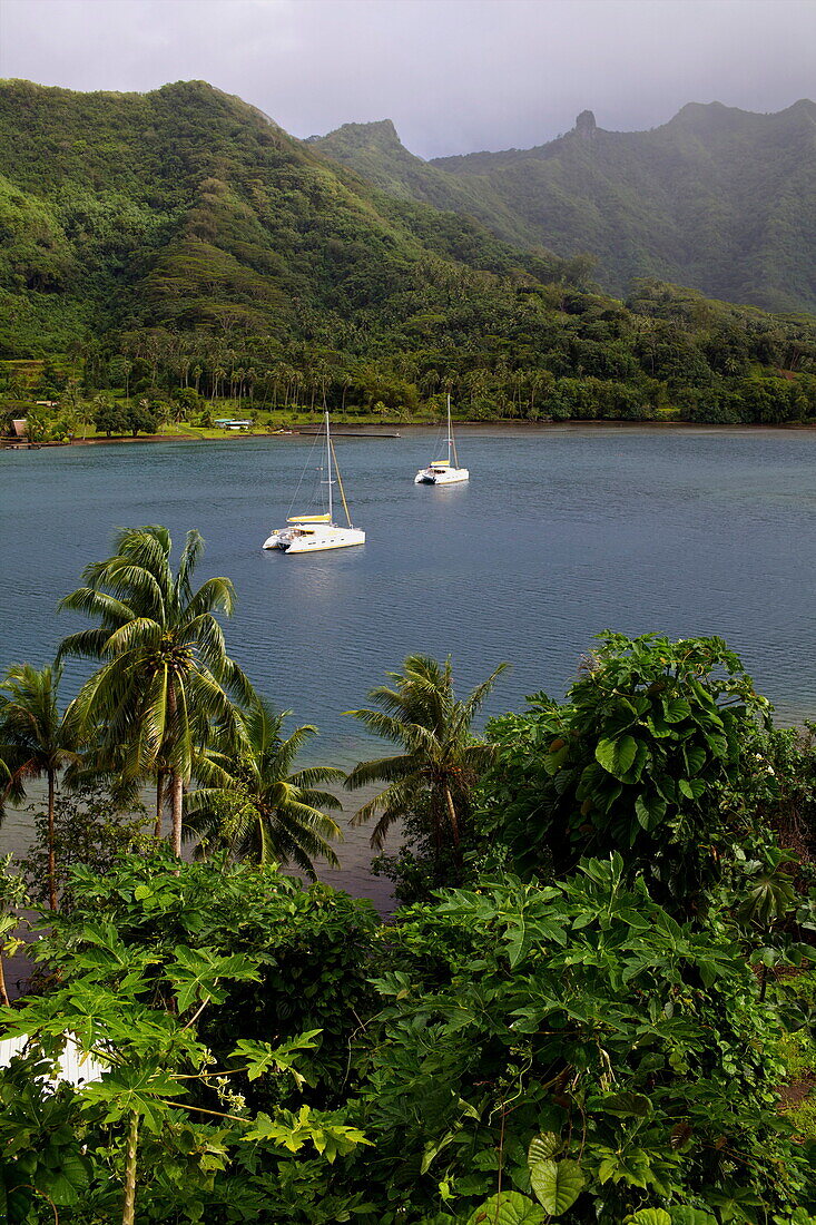 A cruise catamaran in the bay of Hamanee in Tahaa, French Polynesia, Pacific Islands, Pacific