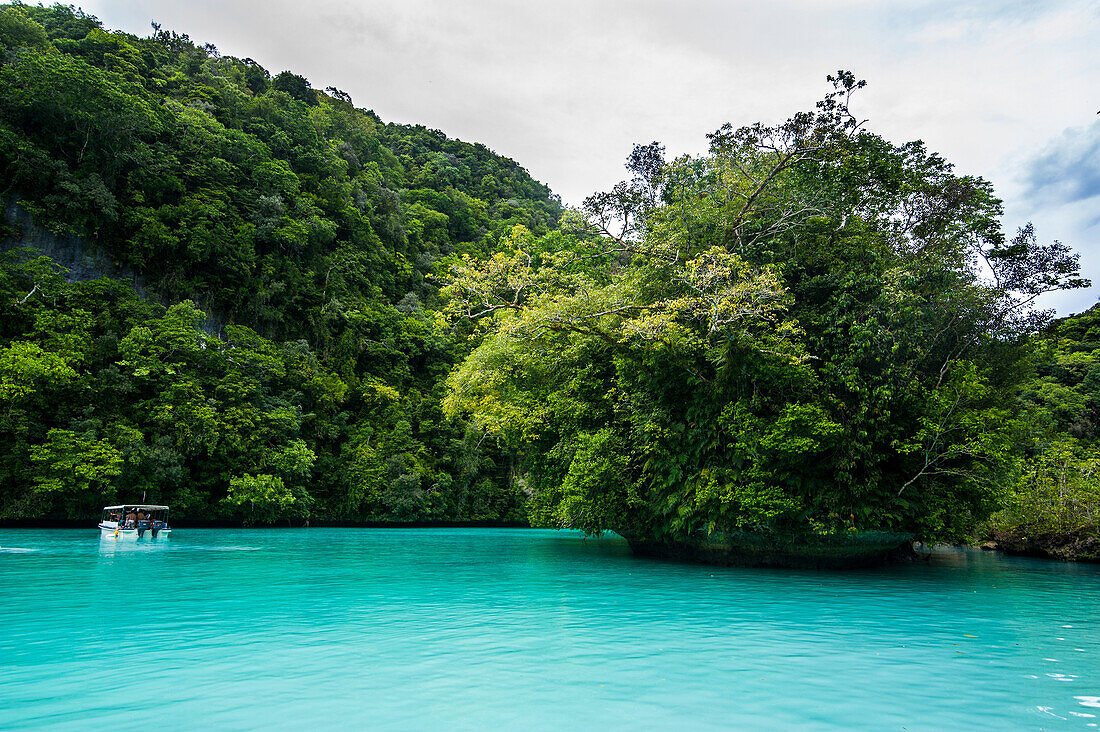 Turquoise waters in the Rock islands, Palau, Central Pacific, Pacific