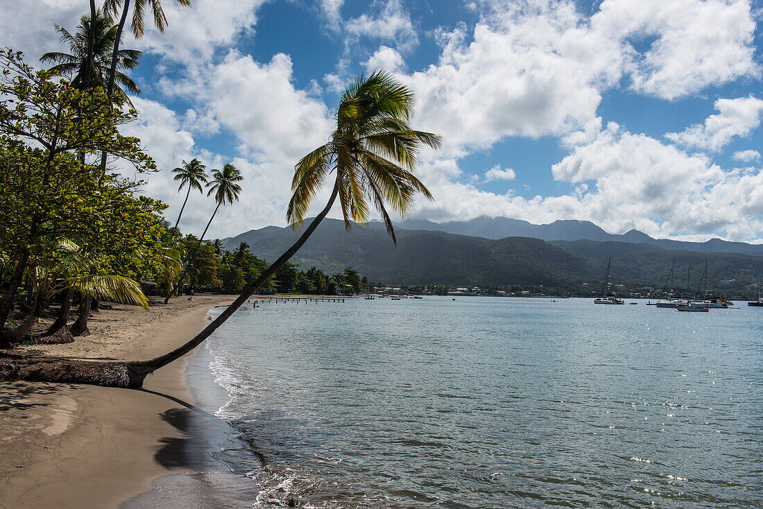 Beach in Prince Rupert Bay, Dominica, West Indies, Caribbean, Central America