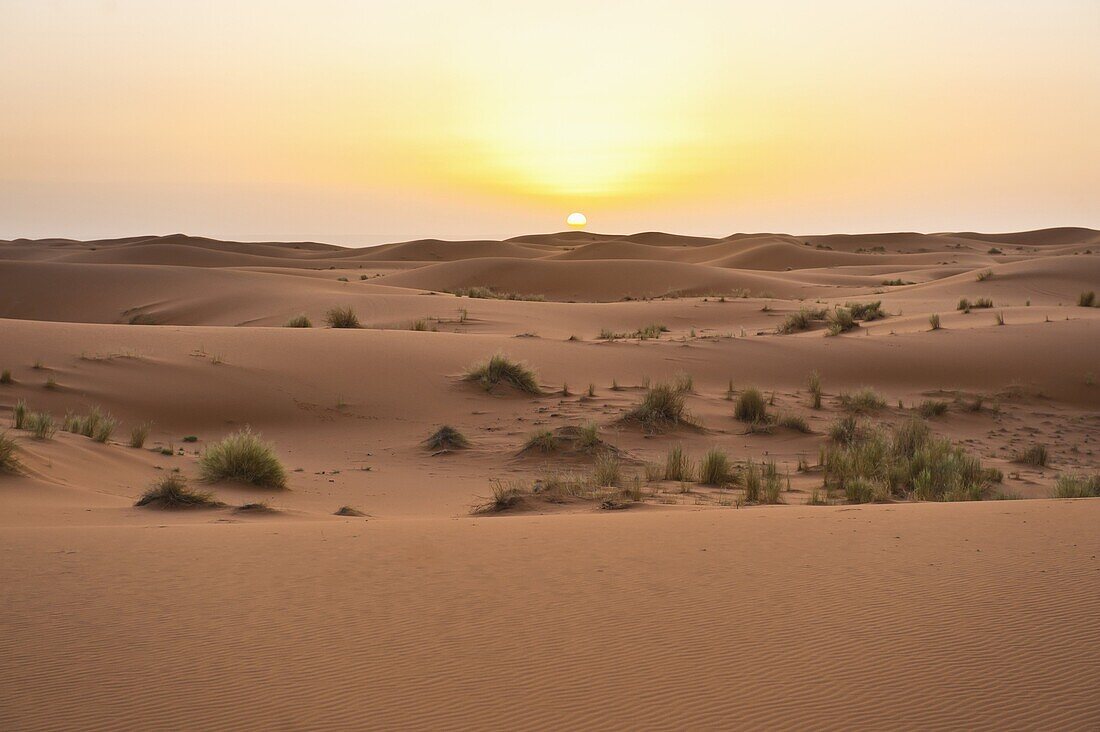 Erg Chebbi dunes at sunrise, Sahara Desert near Merzouga, Morocco, North Africa, Africa