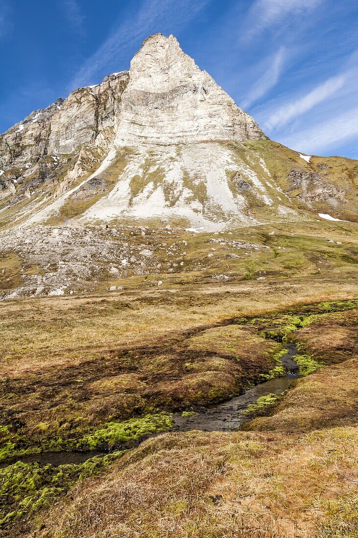 Alkehornet, Spitsbergen West coast, Svalbard archipelago, Norway, Scandinavia, Europe