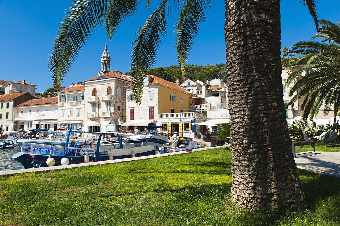 Hvar town centre, church spire, Hvar Island, Dalmatian Coast, Croatia, Europe