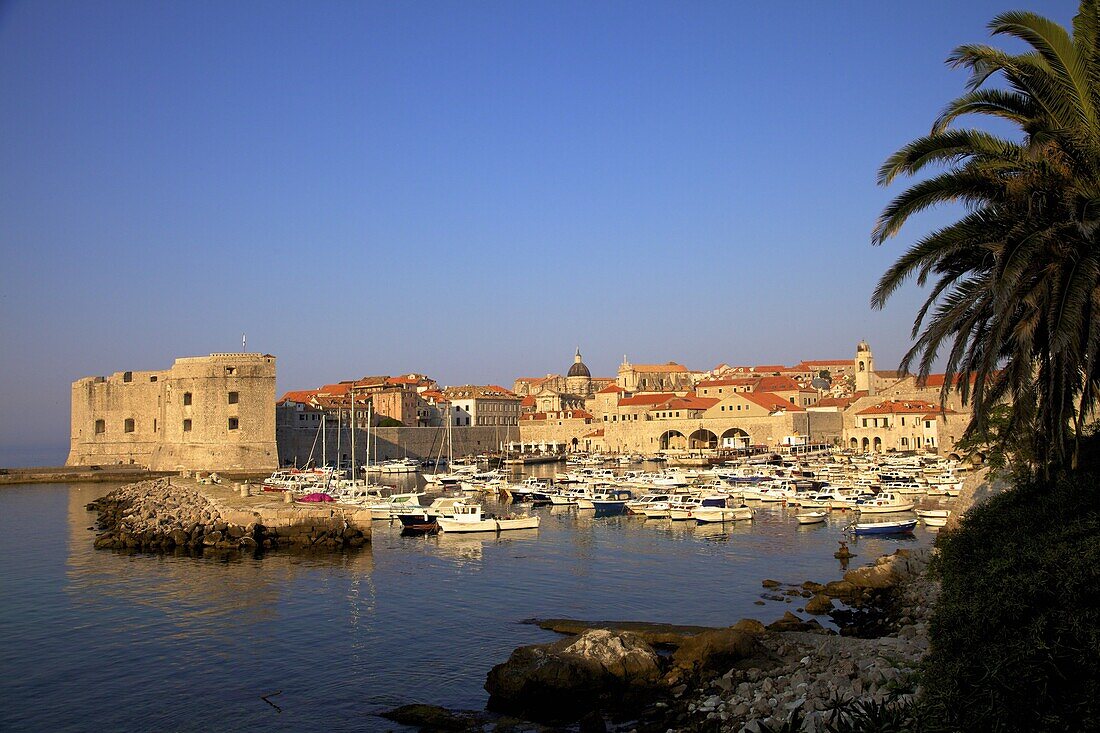 Harbour, Dubrovnik, UNESCO World Heritage Site, Croatia, Europe