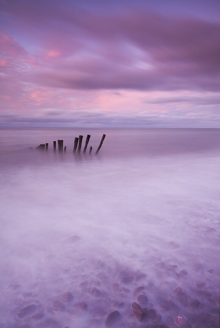 Wooden posts at high tide on Porlock Beach, Exmoor, Somerset, England, United Kingdom, Europe