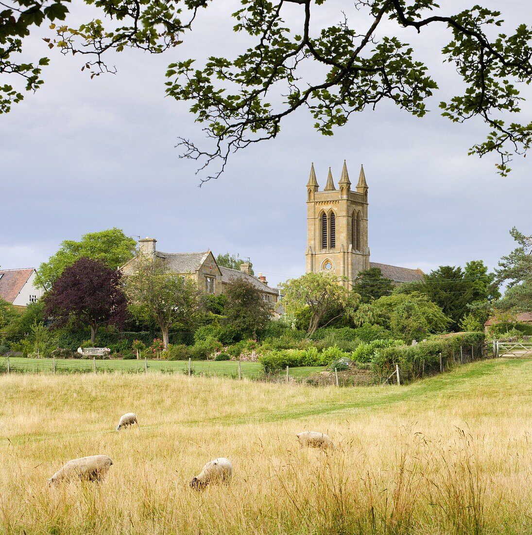 Rural field with views to St. Michaels Church in the Cotswolds village of Broadway, Worcestershire, England, United Kingdom, Europe
