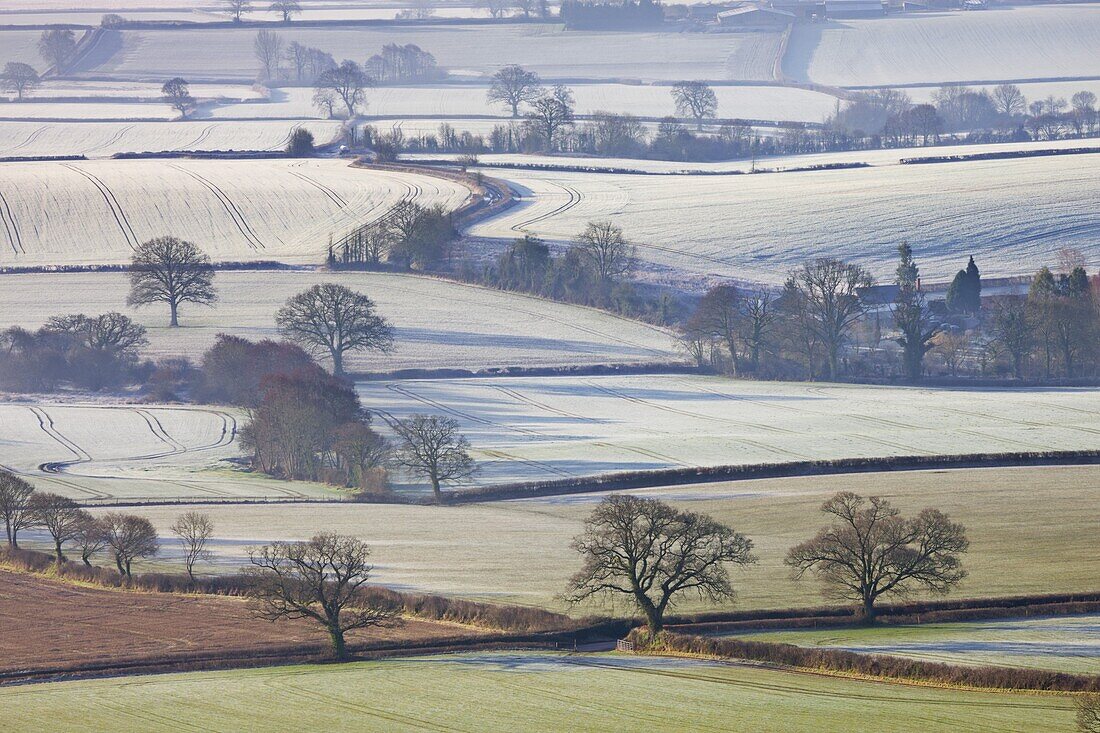 Frosted winter fields near Shobrooke, Devon, England, United Kingdom, Europe